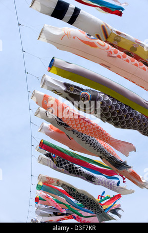 Colorate koinobori giapponese carp streamers per ciascun membro della famiglia in onda in sole contro un cielo blu sul ragazzo del giorno 5 maggio. Foto Stock