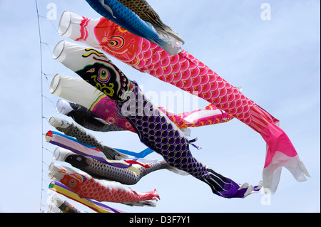Colorate koinobori giapponese carp streamers per ciascun membro della famiglia in onda in sole contro un cielo blu sul ragazzo del giorno 5 maggio. Foto Stock