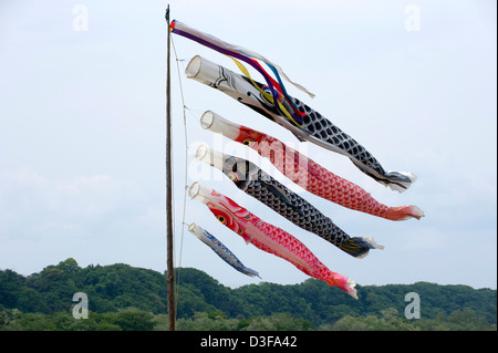Colorate koinobori giapponese carp streamers per ciascun membro della famiglia in onda in sole contro un cielo blu sul ragazzo del giorno 5 maggio. Foto Stock