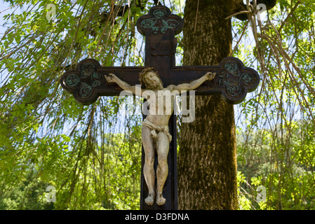 Missen, Germania, nella parte anteriore di un albero lungo il tragitto Foto Stock