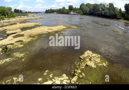 (Dpa) - Le rocce nella parte inferiore del fiume Elbe sono visibili in essiccato fuori il letto del fiume vicino a Magdeburgo, Germania orientale, 30 giugno 2003. L'acqua sonda calibro di profondità è affondata al 1,95 m a causa dei continui aridness. Foto Stock