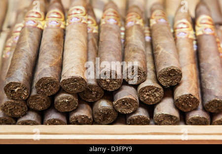 mazzo di sigari Foto stock - Alamy