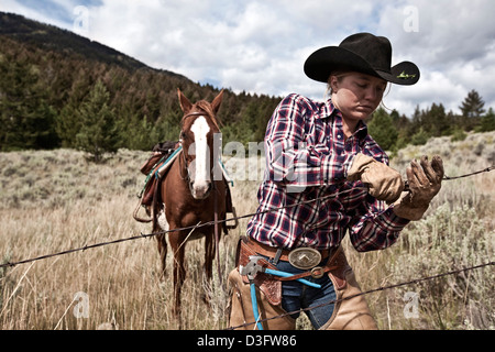 Cowgirl wrangler riparazione di recinzione, Montana, USA Foto Stock