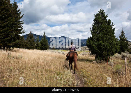 Cowgirl wrangler cavalcare attraverso prati, Montana, USA Foto Stock