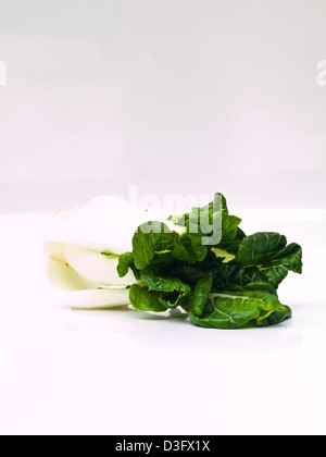 Fresh baby bok choi, Brassica rapa chinensis, isolati su sfondo bianco Foto Stock