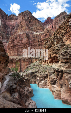 Grand Canyon: Bocca di Havasu Creek 0213 Foto Stock