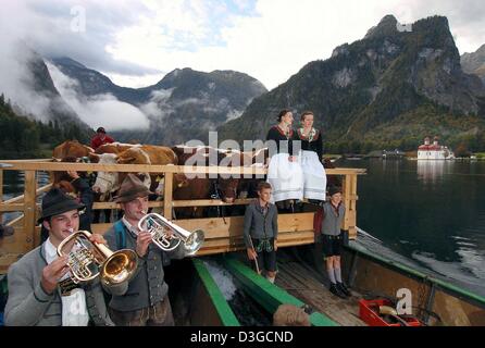 (Dpa) - tromba giocatori e dairymaids accompagnare un carico di bestiame su due barche che sono state legate insieme per trasportare il bestiame attraverso il lago Koenigssee, Germania meridionale, 9 ottobre 2004. In background (R) un pellegrinaggio alla chiesa di San Bartolomeo. Il bestiame che sono state giornate di pascolo su alpeggi durante l'estate, vengono azionati per loro trimestri invernali. Foto Stock