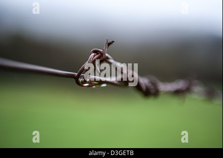 Un extreme close-up di vecchie scorte recinto nella campagna australiana Foto Stock