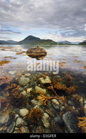 Al di sotto del fiordo di acqua in Norvegia Foto Stock