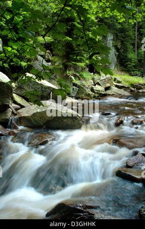 (Dpa) - La valle del 'Schwarze Pockau' è piena di scenic ruscelli e foreste vicino Pobershau, Germania, 1 agosto 2004. Si tratta di una delle favorite escursionismo aree del 'Erzgebirge montagne". Nella grande alluvione che ha colpito la Germania orientale nel 2002 molti sentieri escursionistici sono stati spazzati via e distrutti e sono stati chiusi per il turismo per oltre un anno. Numerosi sentieri e le rive dei fiumi sono state da allora Foto Stock