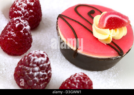 Il cioccolato petit four con lamponi spolverato di zucchero a velo Foto Stock