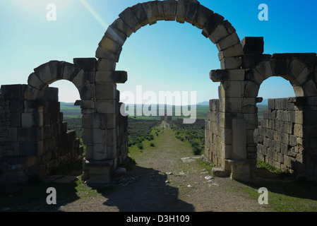 View all'Arco Trionfale attraverso la porta di Tangeri in antica città romana di Volubilis, Marocco Foto Stock