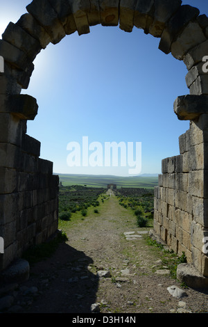 View all'Arco Trionfale attraverso la porta di Tangeri in antica città romana di Volubilis, Marocco Foto Stock