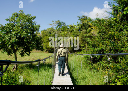 Guatemala, Rio Dulce, Hacienda Tijax Jungle Lodge. La natura e l'escursione nella giungla, passerella elevata mediante sub-ambiente tropicale. Foto Stock