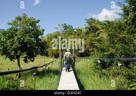 Guatemala, Rio Dulce, Hacienda Tijax Jungle Lodge. La natura e l'escursione nella giungla, passerella elevata mediante sub-ambiente tropicale. Foto Stock