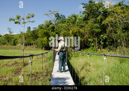 Guatemala, Rio Dulce, Hacienda Tijax Jungle Lodge. La natura e l'escursione nella giungla, passerella elevata mediante sub-ambiente tropicale. Foto Stock