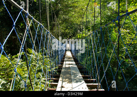 Guatemala, Rio Dulce, Hacienda Tijax Jungle Lodge. La natura e la giungla escursione tettoia, livelli elevati di corda ponte nella giungla. Foto Stock