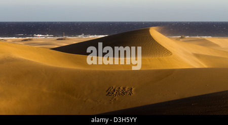 A tarda notte sole risplende attraverso le dune di sabbia di Gran Canaria in Playa Del Ingles area della destinazione di vacanza isola Foto Stock