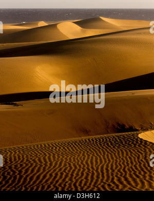 A tarda notte sole risplende attraverso le dune di sabbia di Gran Canaria in Playa Del Ingles area della destinazione di vacanza isola Foto Stock