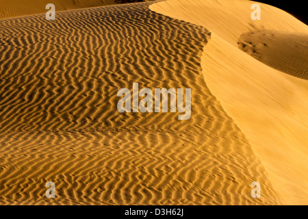 A tarda notte sole risplende attraverso le dune di sabbia di Gran Canaria in Playa Del Ingles area della destinazione di vacanza isola Foto Stock