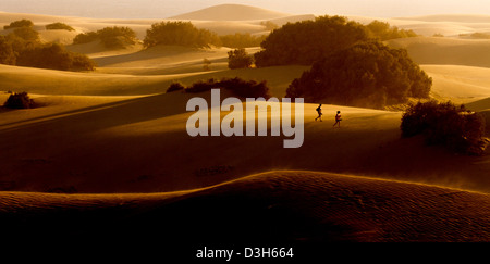 A tarda notte sole risplende attraverso le dune di sabbia di Gran Canaria in Playa Del Ingles area della destinazione di vacanza isola Foto Stock