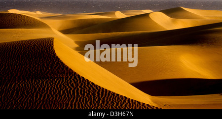 A tarda notte sole risplende attraverso le dune di sabbia di Gran Canaria in Playa Del Ingles area della destinazione di vacanza isola Foto Stock