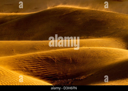 A tarda notte sole risplende attraverso le dune di sabbia di Gran Canaria in Playa Del Ingles area della destinazione di vacanza isola Foto Stock