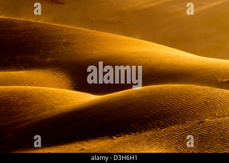 A tarda notte sole risplende attraverso le dune di sabbia di Gran Canaria in Playa Del Ingles area della destinazione di vacanza isola Foto Stock