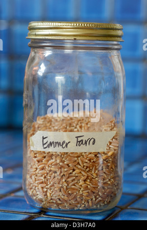Farro grano farro in un vaso sul bancone della cucina di Giuseppe, Oregon. Foto Stock
