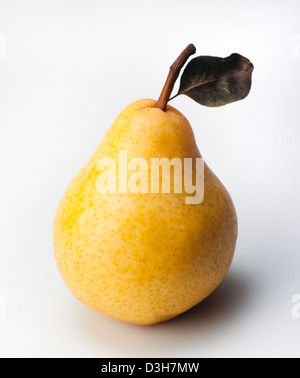 Fresche e mature di pera di colore giallo con foglie su sfondo bianco Foto Stock