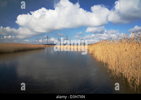 Newport Zone Umide Riserva Naturale, Newport, Galles del Sud Foto Stock