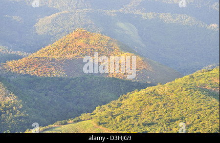 Vista sulle montagne Escambray da Topes de Collantes viewpoint vicino a Trinidad, Cuba Foto Stock