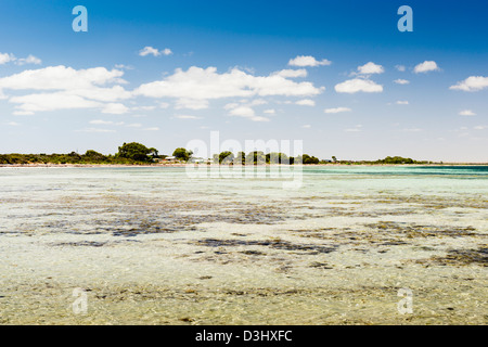 Cancella ricerca tropicale acqua con orizzonte e cielo blu Foto Stock