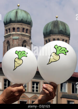 (Dpa) - Un uomo detiene due palloncini che mostra una barbabietola da zucchero motif di fronte alla Frauenkirche di Monaco di Baviera, Germania, il 28 giugno 2005. Contadini bavarese di manifestare contro i piani dell'Unione europea (UE) sul mercato dello zucchero la riforma. Se i piani sono stati attuati, l'esistenza di imprese di 14,600 e 4.600 posti di lavoro soltanto in Baviera sarebbe minacciata. Foto Stock