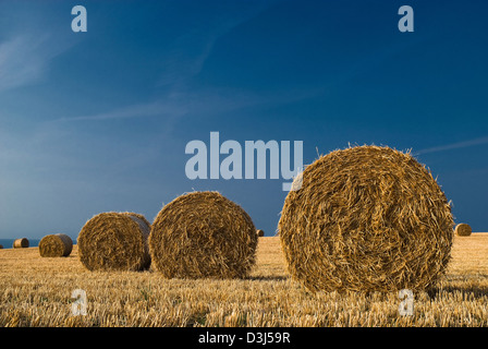 Bails fieno sul campo costiere in estate Foto Stock