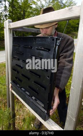 (Dpa) - Forest ranger Ulrich Matschke si svuota un bostrico trappola vicino alla città di Saldenberg, Germania, 11 maggio 2004. Foto Stock