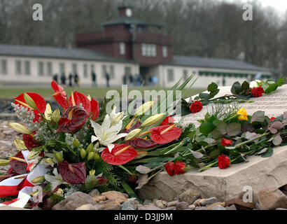 (Dpa) - fiori freschi giacciono su una targa commemorativa nei locali del campo di concentramento luogo memoriale di Buchenwald nei pressi di Weimar, Germania, 10 aprile 2005. La deposizione di una corona di fiori ha commemorato il sessantesimo anniversario della liberazione del campo di concentramento nazista. Persone da tutta Europa sono stati portati al campo di concentramento nazista. Più di 56.000 prigionieri sono morti nel solo concen Foto Stock