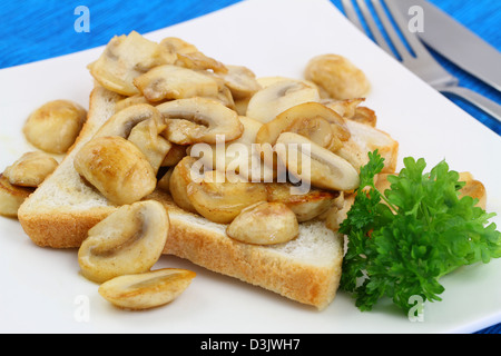 Funghi su pane tostato Foto Stock