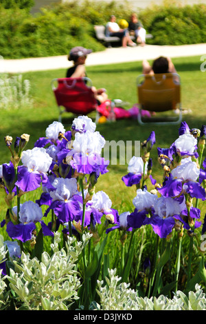 Caldo giorno d'estate nel parco parigino - persone in rilassanti sedie lunghe in background, focus su iride fiori in primo piano. Foto Stock