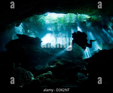 Cenote diver entra Taj Mahal di caverna sulla penisola dello Yucatan in Messico. Foto Stock