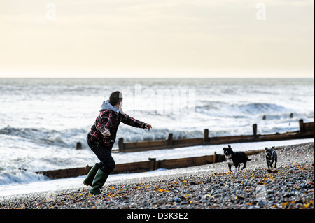 Un uomo di gettare una sfera per 2 cani su una spiaggia Foto Stock