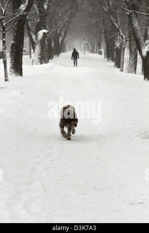 La gente fuori e circa durante l inverno attivo meteo a Montreal, in Quebec. Foto Stock