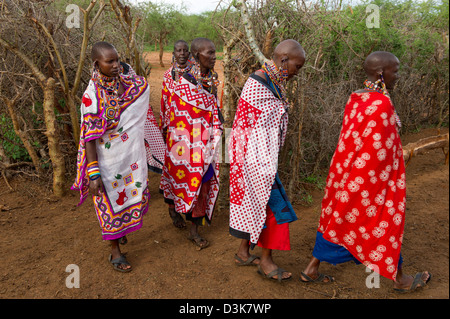 Le donne Masai che immettendo il manyatta, tutela di Selenkay, Kenya Foto Stock
