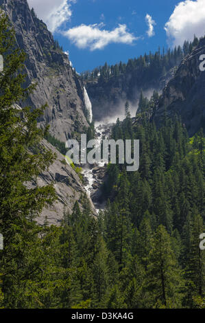 Foresta, montagne e cascate Yosemite Nationa Park. Foto Stock