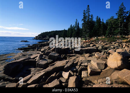 Elk282-2082 Maine, isola di Mount Desert, Parco Nazionale di Acadia, Park Loop Road, East shore costa in sun Foto Stock