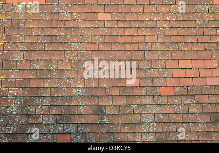 Abstract sullo sfondo di un vecchio tetto di tegole rosse e sulla casa. Foto Stock