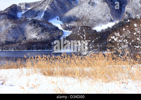 Il lago di Aoki, Prefettura di Nagano Foto Stock