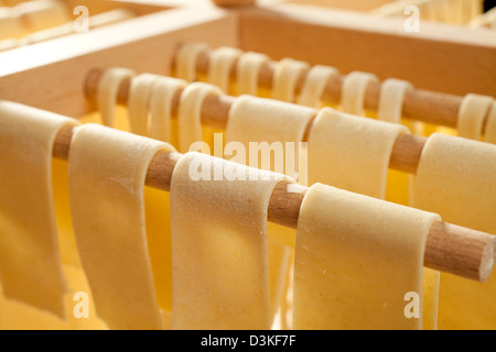 Fresche spaghetti di semola appesi ad asciugare Foto Stock