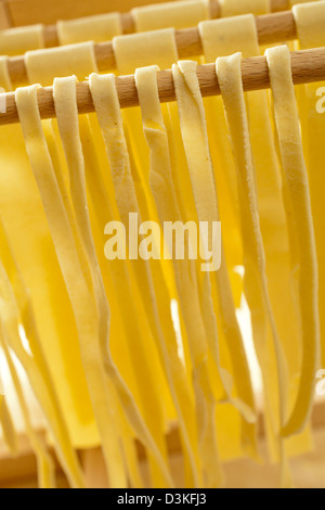 Fresche spaghetti di semola appesi ad asciugare Foto Stock