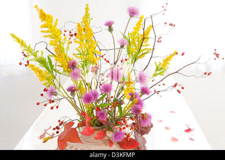 Fiori di campo in un vaso Foto Stock